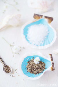 seashell